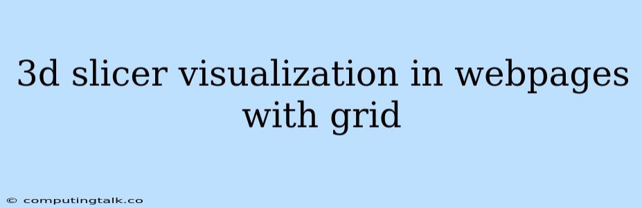 3d Slicer Visualization In Webpages With Grid