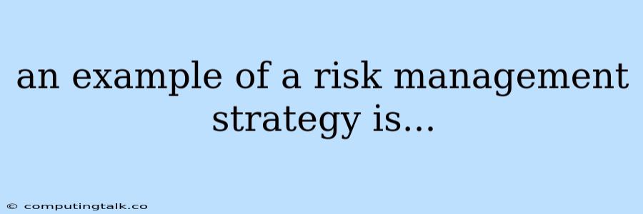 An Example Of A Risk Management Strategy Is...