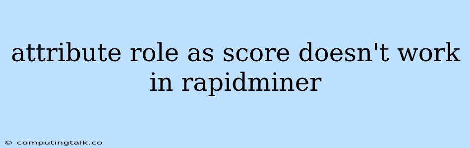 Attribute Role As Score Doesn't Work In Rapidminer