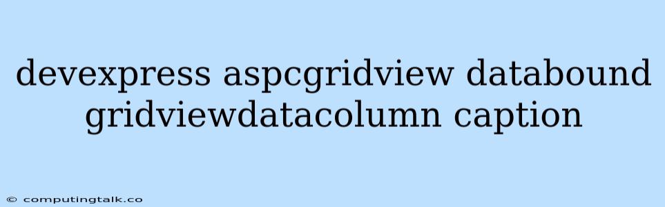 Devexpress Aspcgridview Databound Gridviewdatacolumn Caption