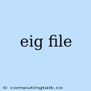 Eig File