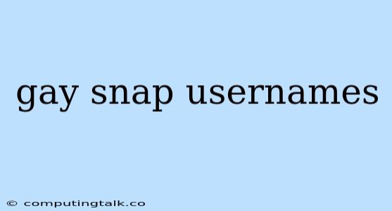 Gay Snap Usernames