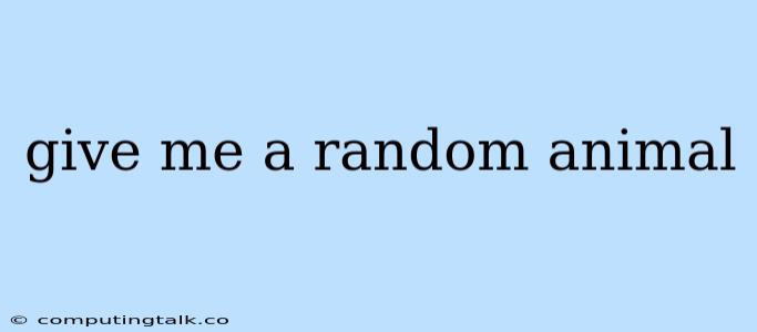 Give Me A Random Animal