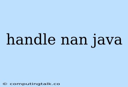 Handle Nan Java