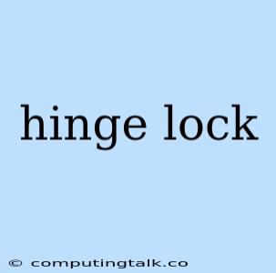 Hinge Lock