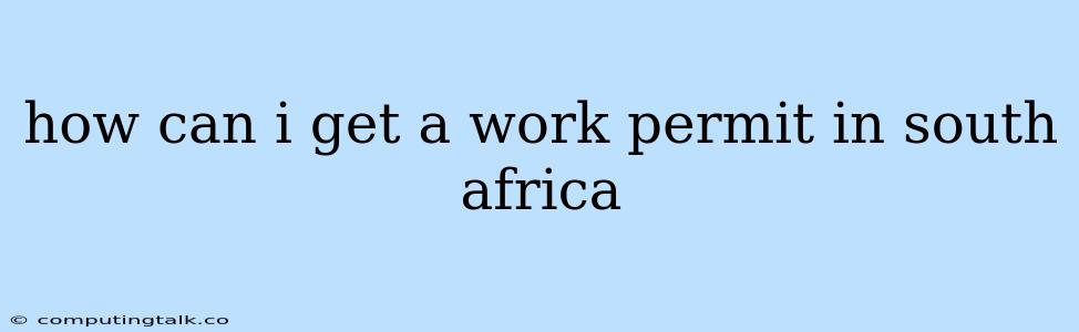 How Can I Get A Work Permit In South Africa