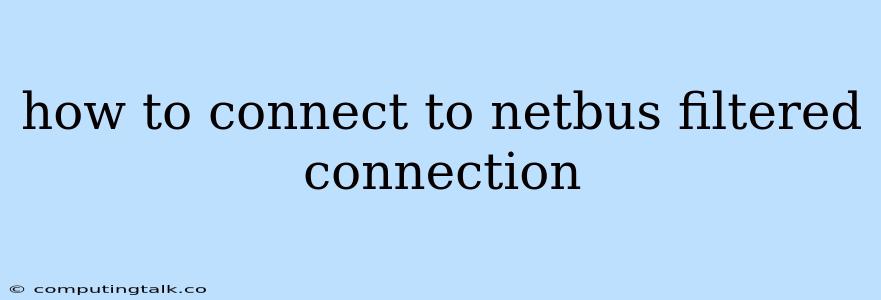 How To Connect To Netbus Filtered Connection