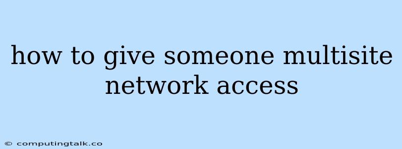 How To Give Someone Multisite Network Access