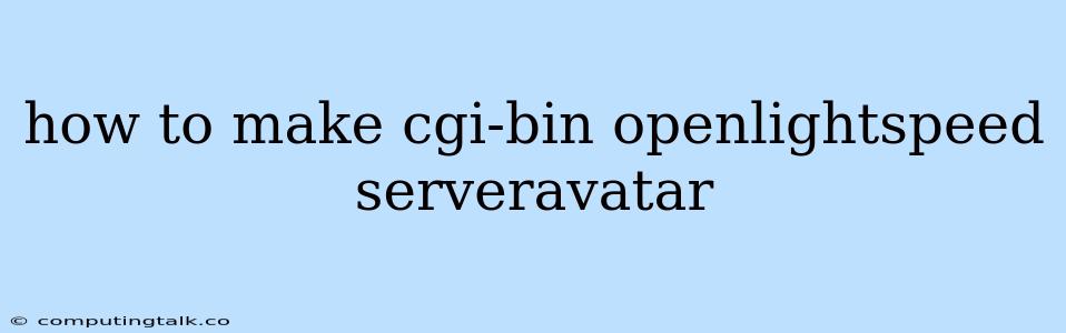 How To Make Cgi-bin Openlightspeed Serveravatar