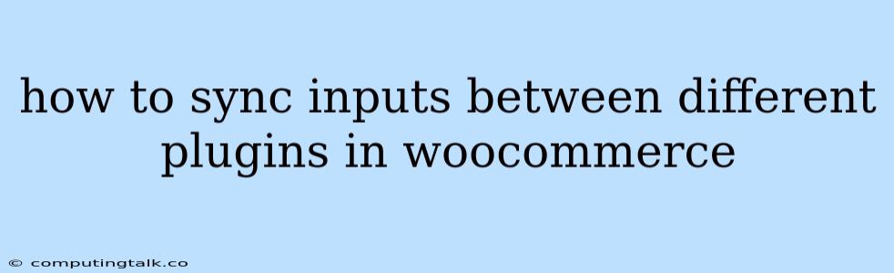 How To Sync Inputs Between Different Plugins In Woocommerce