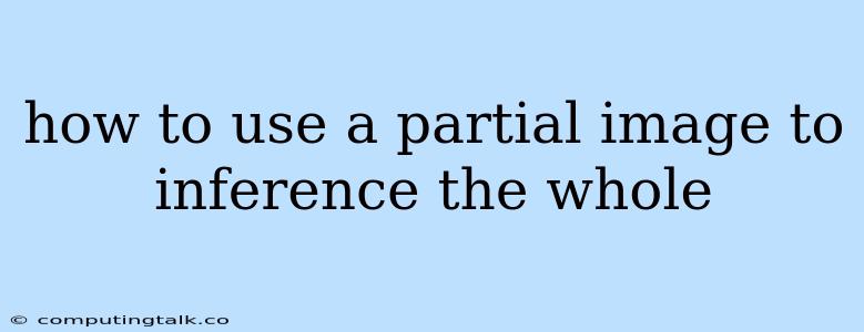 How To Use A Partial Image To Inference The Whole