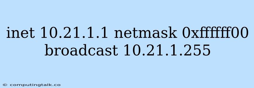 Inet 10.21.1.1 Netmask 0xffffff00 Broadcast 10.21.1.255