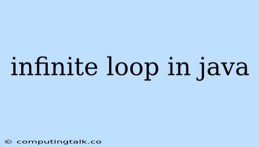 Infinite Loop In Java