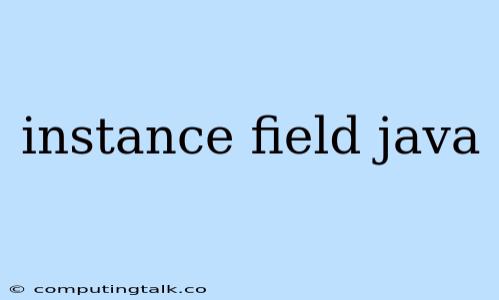 Instance Field Java