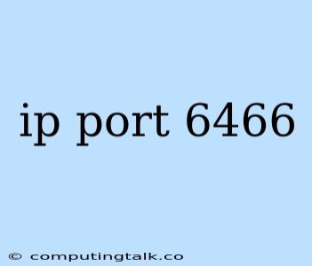 Ip Port 6466