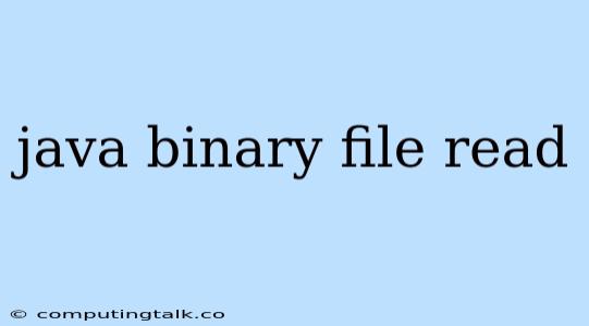 Java Binary File Read