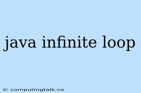 Java Infinite Loop