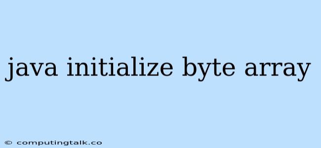 Java Initialize Byte Array