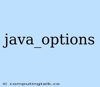 Java_options