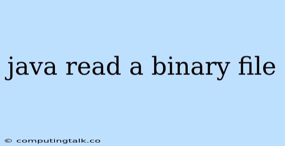 Java Read A Binary File