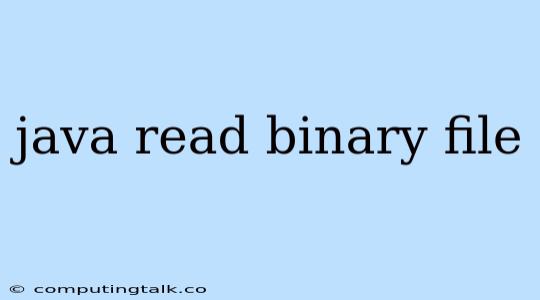 Java Read Binary File