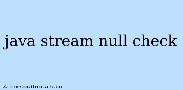 Java Stream Null Check