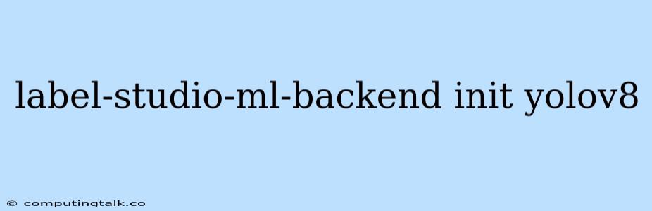 Label-studio-ml-backend Init Yolov8