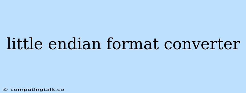 Little Endian Format Converter