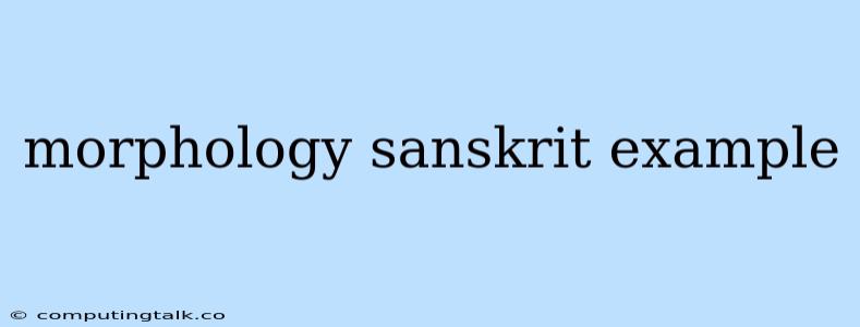 Morphology Sanskrit Example