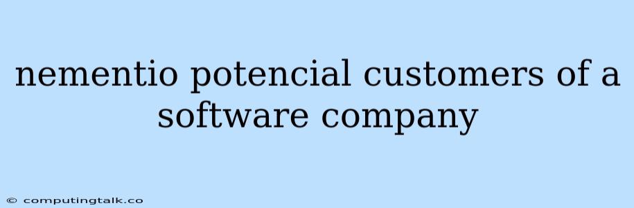 Nementio Potencial Customers Of A Software Company