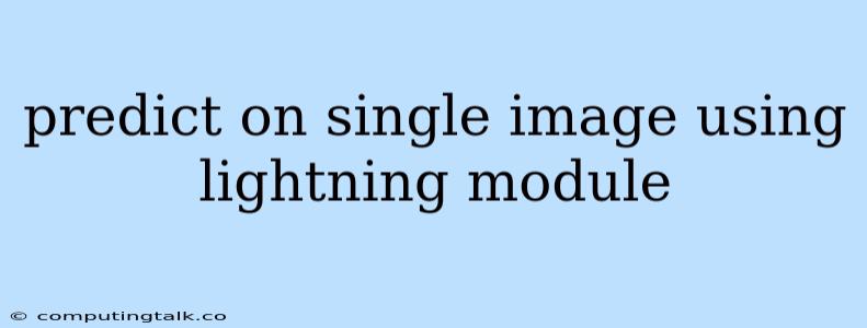 Predict On Single Image Using Lightning Module