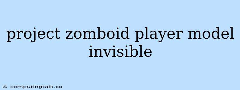 Project Zomboid Player Model Invisible