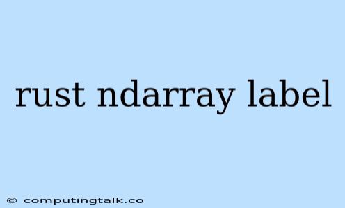 Rust Ndarray Label