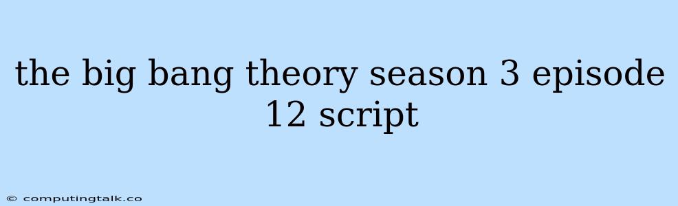 The Big Bang Theory Season 3 Episode 12 Script