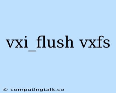 Vxi_flush Vxfs