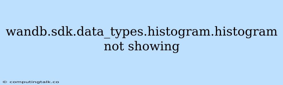 Wandb.sdk.data_types.histogram.histogram Not Showing