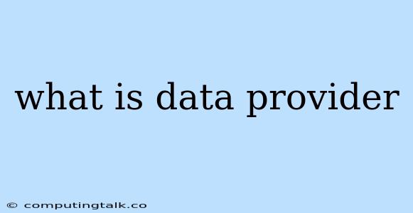 What Is Data Provider