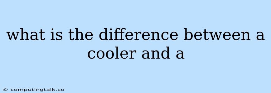 What Is The Difference Between A Cooler And A