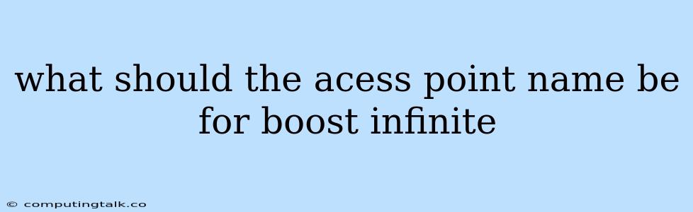 What Should The Acess Point Name Be For Boost Infinite