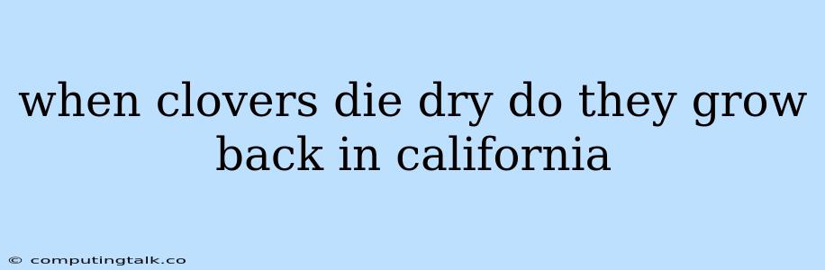 When Clovers Die Dry Do They Grow Back In California