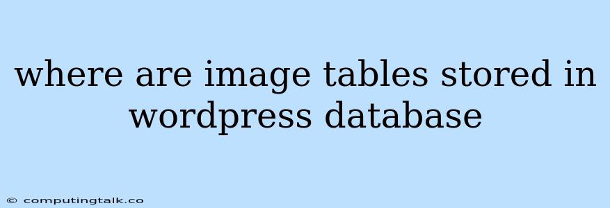 Where Are Image Tables Stored In Wordpress Database