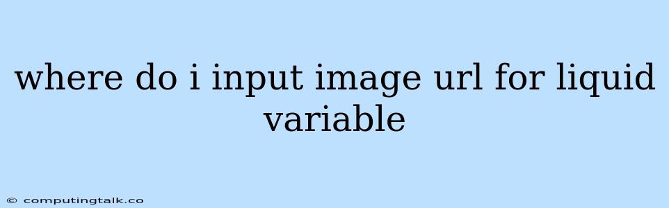 Where Do I Input Image Url For Liquid Variable